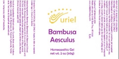 Bambusa Aesculus Gel